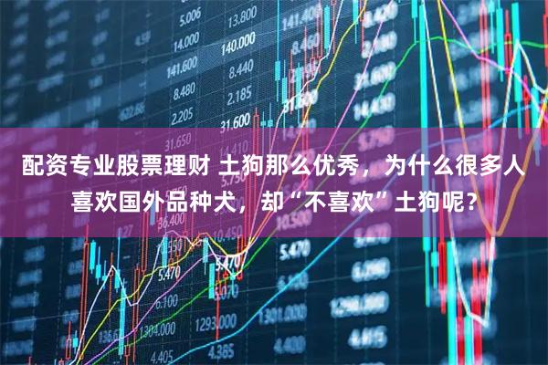 配资专业股票理财 土狗那么优秀，为什么很多人喜欢国外品种犬，却“不喜欢”土狗呢？